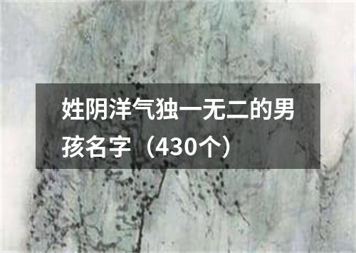 姓阴洋气独一无二的男孩名字（430个）