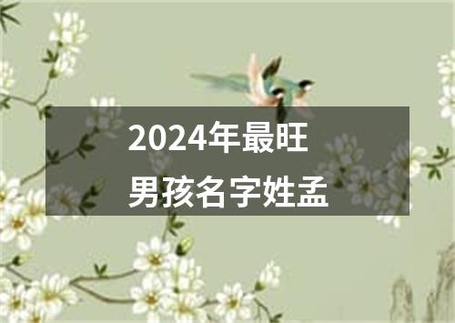 2024年最旺男孩名字姓孟