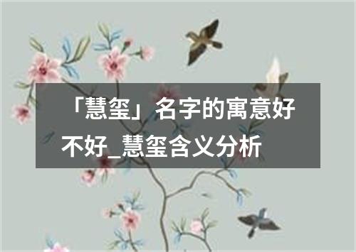 「慧玺」名字的寓意好不好_慧玺含义分析