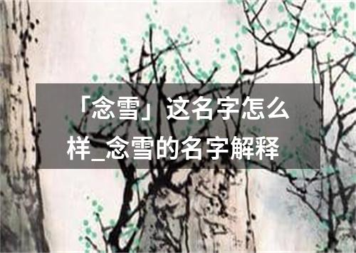 「念雪」这名字怎么样_念雪的名字解释