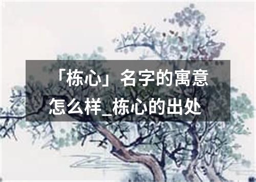 「栋心」名字的寓意怎么样_栋心的出处