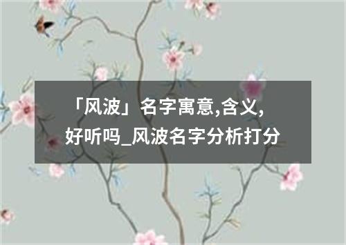 「风波」名字寓意,含义,好听吗_风波名字分析打分