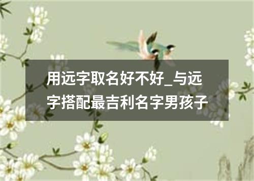 用远字取名好不好_与远字搭配最吉利名字男孩子