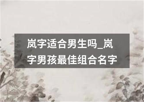 岚字适合男生吗_岚字男孩最佳组合名字