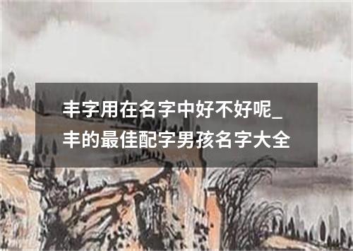 丰字用在名字中好不好呢_丰的最佳配字男孩名字大全