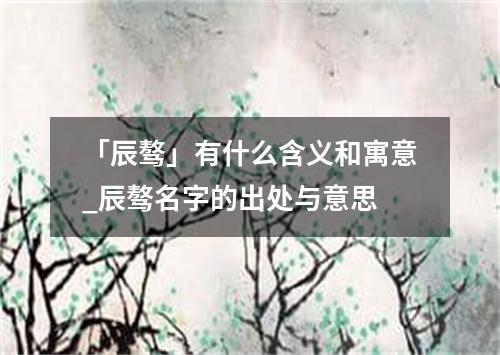 「辰骜」有什么含义和寓意_辰骜名字的出处与意思