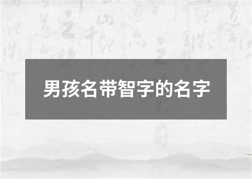 男孩名带智字的名字