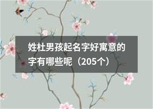 姓杜男孩起名字好寓意的字有哪些呢（205个）