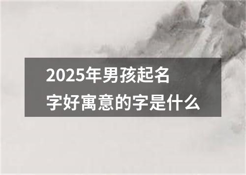 2025年男孩起名字好寓意的字是什么