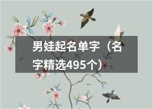 男娃起名单字（名字精选495个）