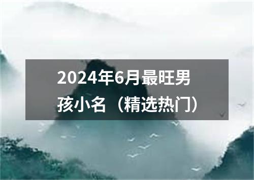 2024年6月最旺男孩小名（精选热门）