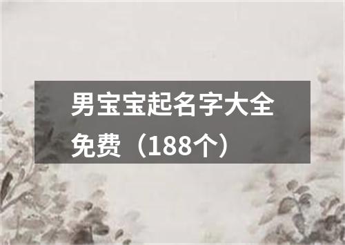 男宝宝起名字大全免费（188个）