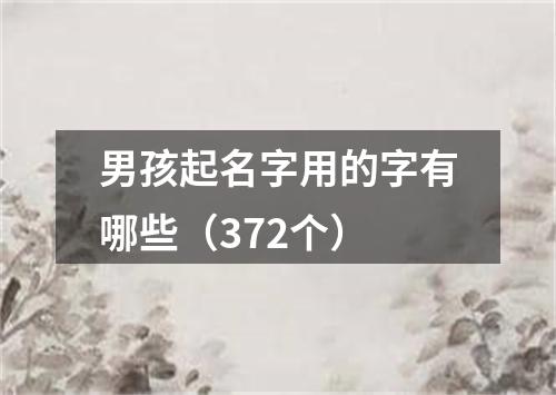 男孩起名字用的字有哪些（372个）