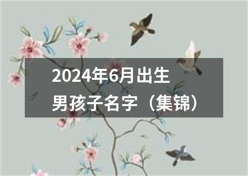 2024年6月出生男孩子名字（集锦）