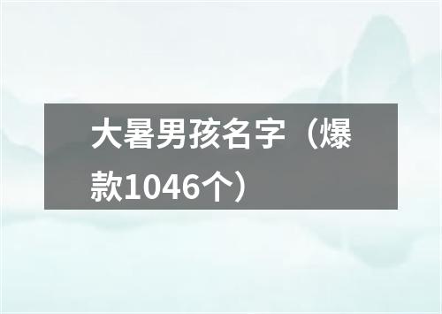 大暑男孩名字（爆款1046个）