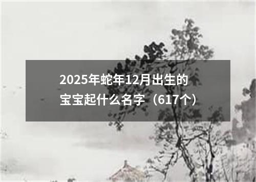 2025年蛇年12月出生的宝宝起什么名字（617个）