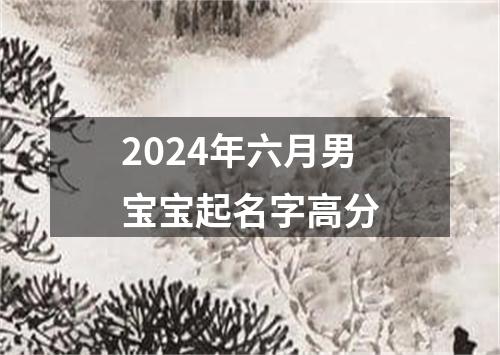 2024年六月男宝宝起名字高分