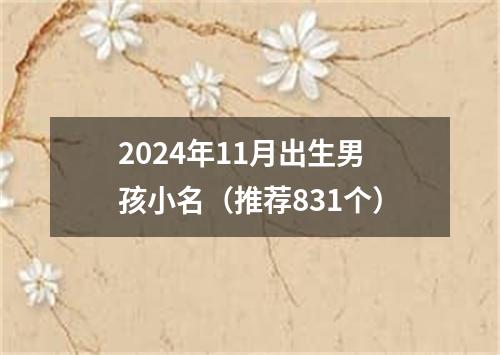 2024年11月出生男孩小名（推荐831个）