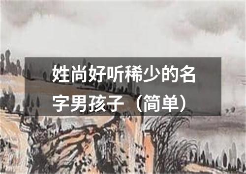 姓尚好听稀少的名字男孩子（简单）