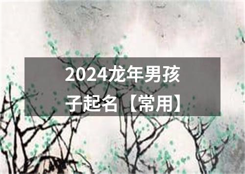 2024龙年男孩子起名【常用】