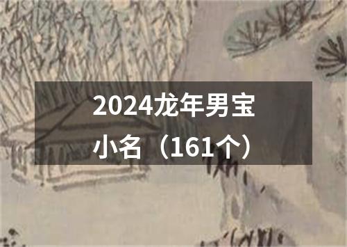 2024龙年男宝小名（161个）