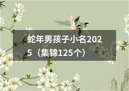 蛇年男孩子小名2025（集锦125个）