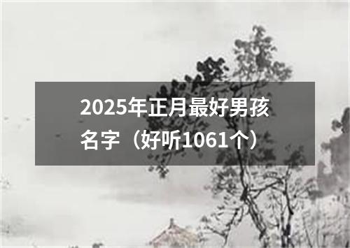 2025年正月最好男孩名字（好听1061个）