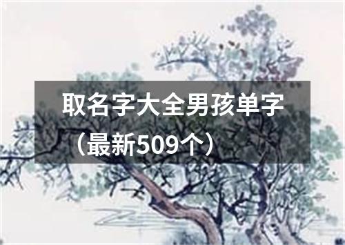 取名字大全男孩单字（最新509个）