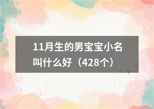 11月生的男宝宝小名叫什么好（428个）