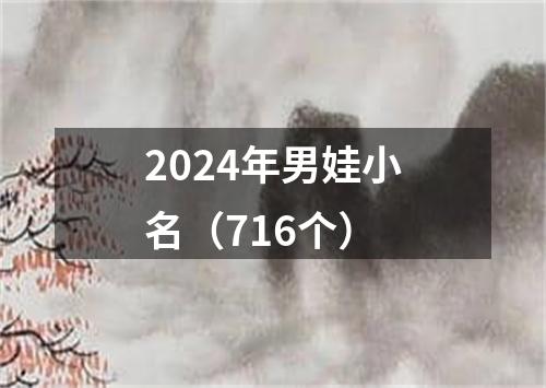 2024年男娃小名（716个）