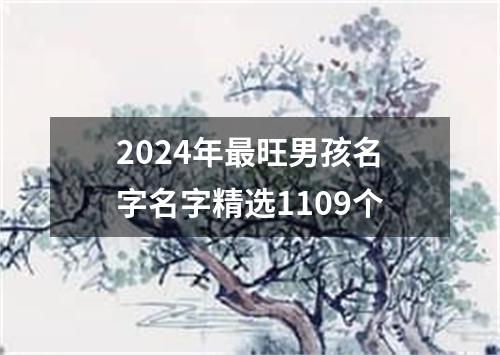 2024年最旺男孩名字名字精选1109个