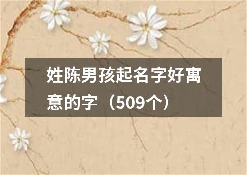 姓陈男孩起名字好寓意的字（509个）