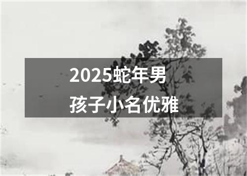 2025蛇年男孩子小名优雅