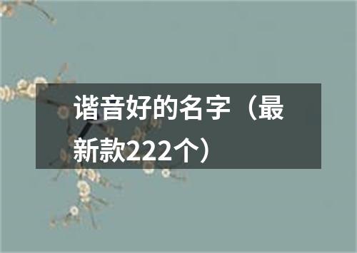 谐音好的名字（最新款222个）