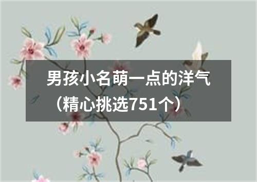 男孩小名萌一点的洋气（精心挑选751个）