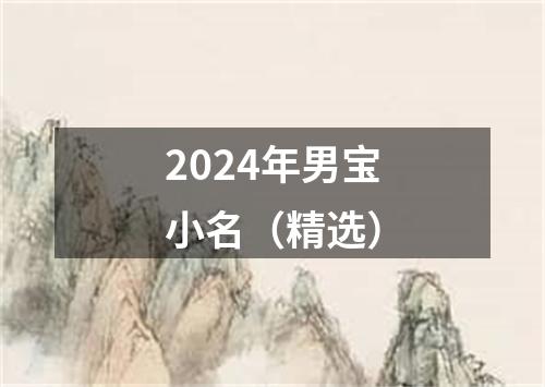 2024年男宝小名（精选）