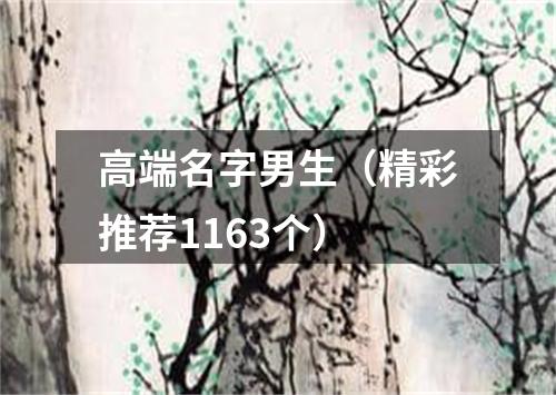 高端名字男生（精彩推荐1163个）