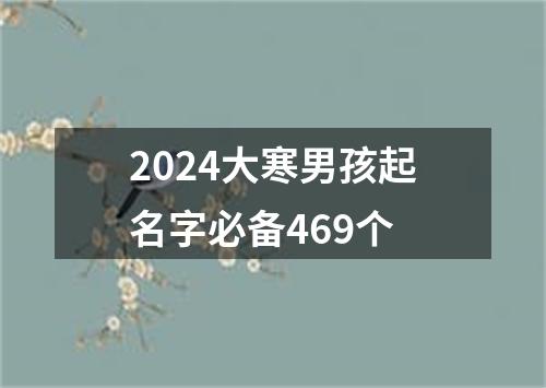 2024大寒男孩起名字必备469个