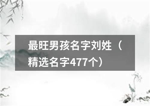 最旺男孩名字刘姓（精选名字477个）