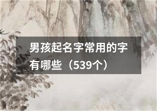 男孩起名字常用的字有哪些（539个）