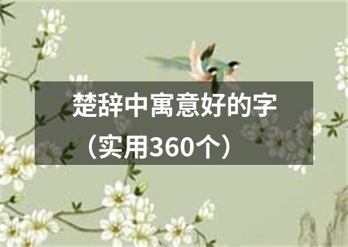 楚辞中寓意好的字（实用360个）