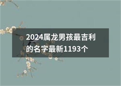 2024属龙男孩最吉利的名字最新1193个