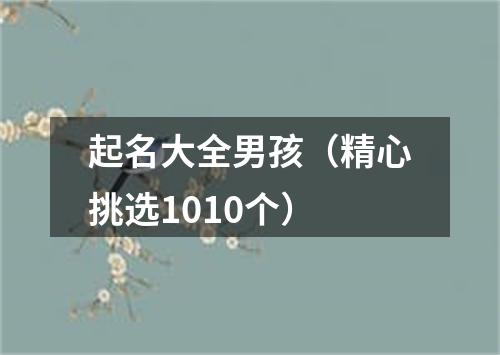 起名大全男孩（精心挑选1010个）