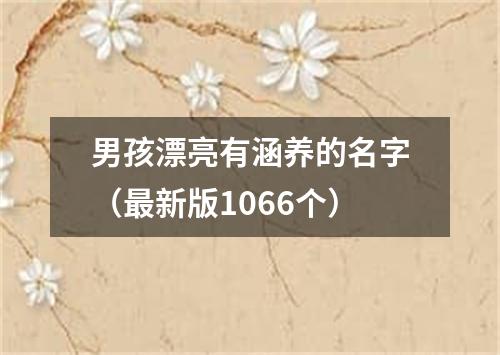 男孩漂亮有涵养的名字（最新版1066个）