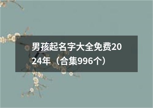 男孩起名字大全免费2024年（合集996个）