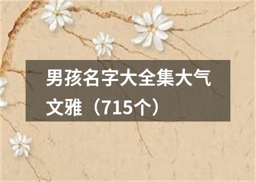 男孩名字大全集大气文雅（715个）