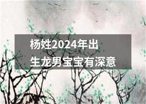 杨姓2024年出生龙男宝宝有深意