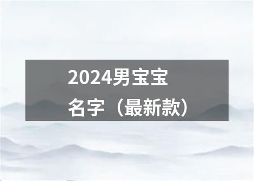 2024男宝宝名字（最新款）