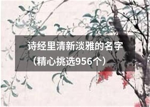 诗经里清新淡雅的名字（精心挑选956个）