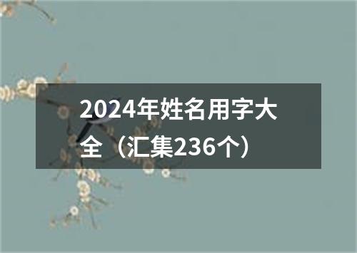 2024年姓名用字大全（汇集236个）